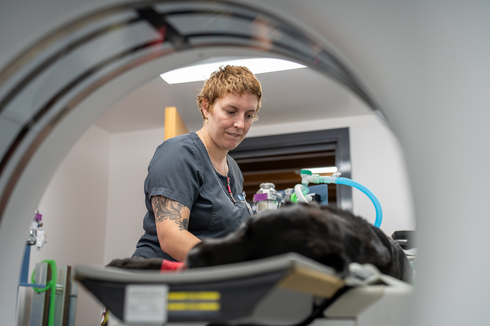 Oakwood Veterinary Referrals (Web) 041