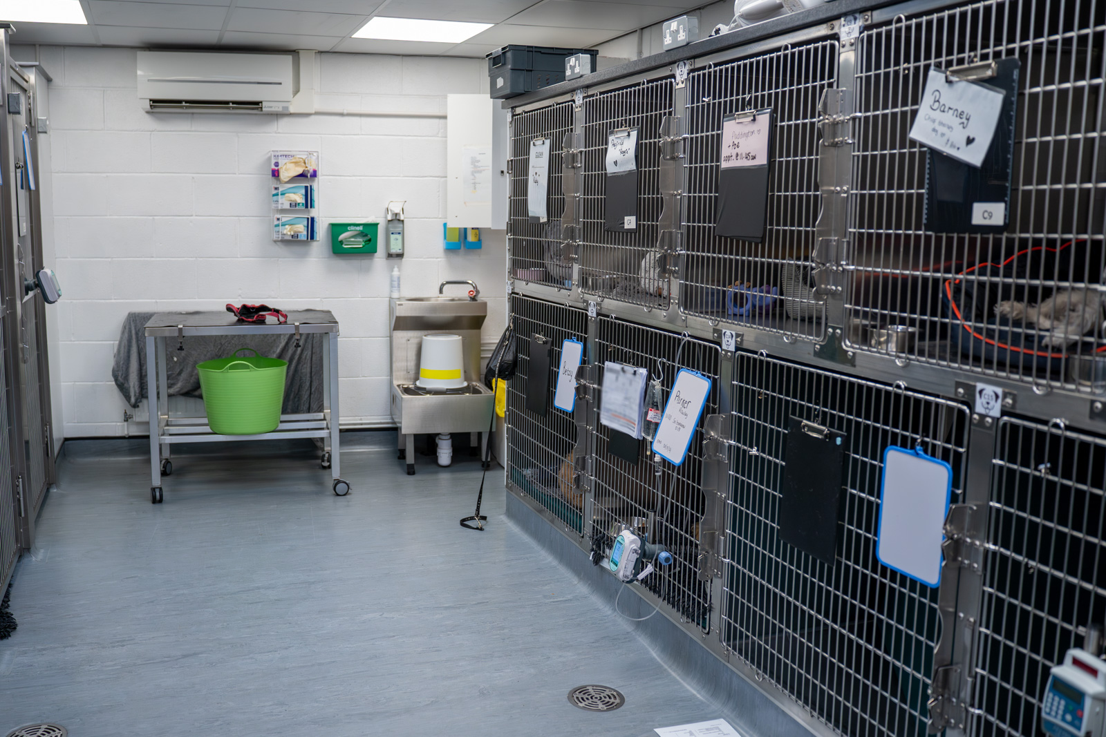 Oakwood Veterinary Referrals (Web) 043