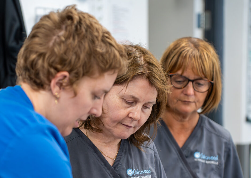 Oakwood Veterinary Referrals (Web) 063