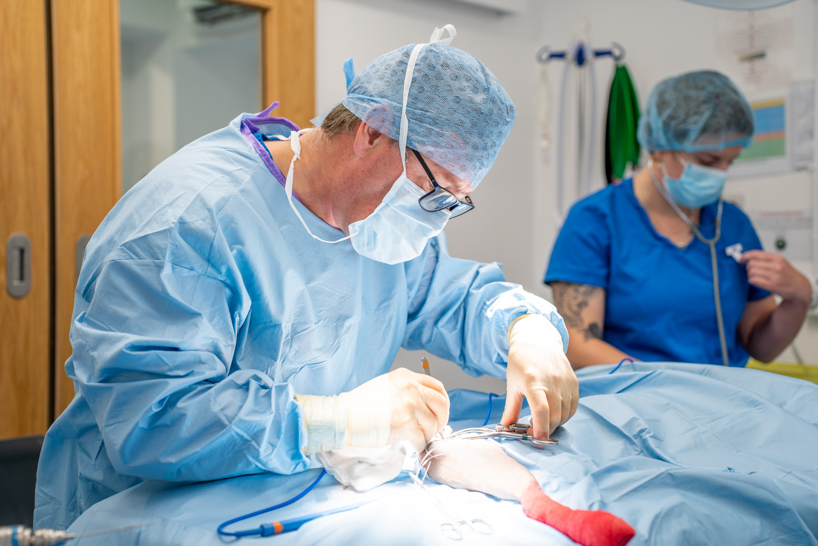Oakwood Veterinary Referrals (Web) 087