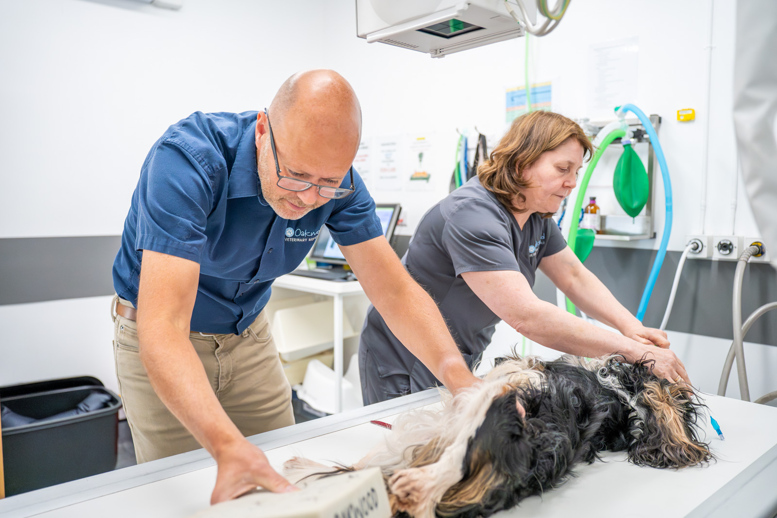 Oakwood Veterinary Referrals (Web) 118