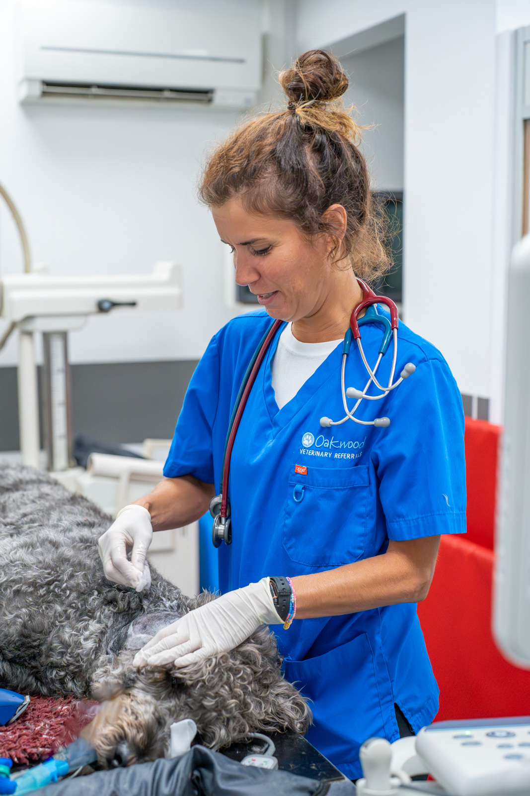 Oakwood Veterinary Referrals (Web) 166