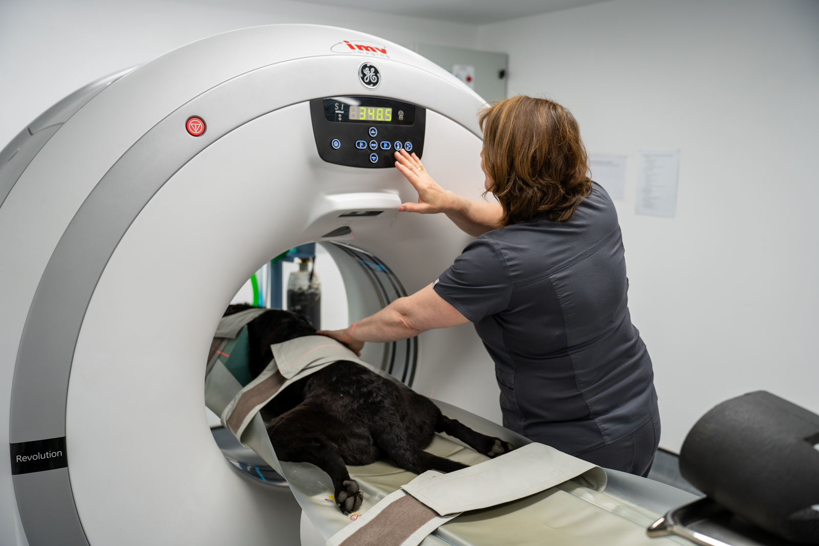 Oakwood Veterinary Referrals (Web) 016