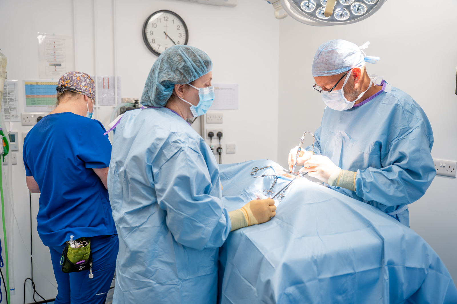 Oakwood Veterinary Referrals (Web) 158